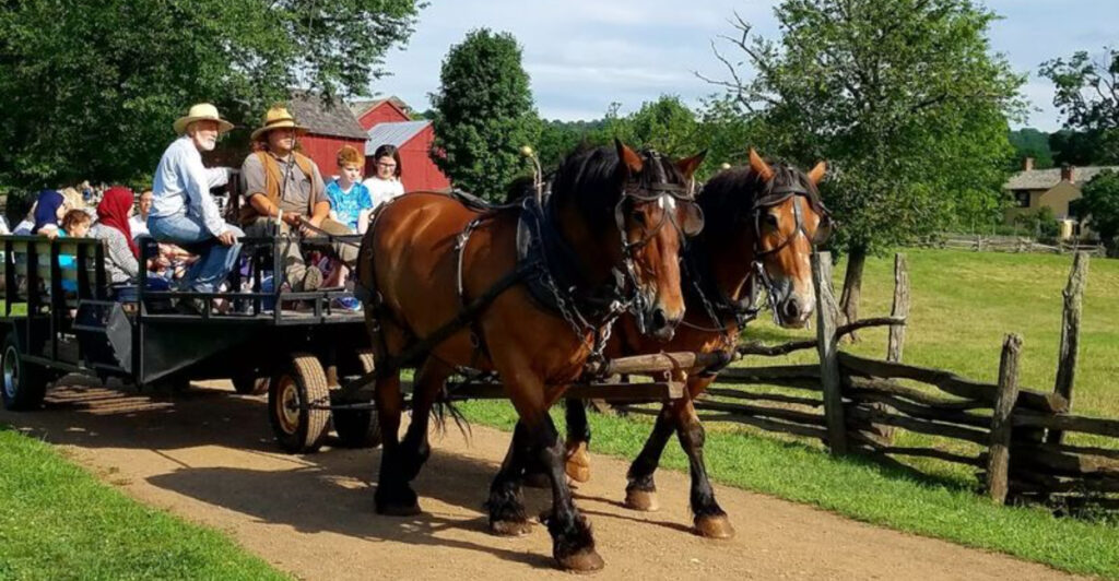 One of New Jersey’s Most Fascinating Time Capsules Is Still a Working Farm