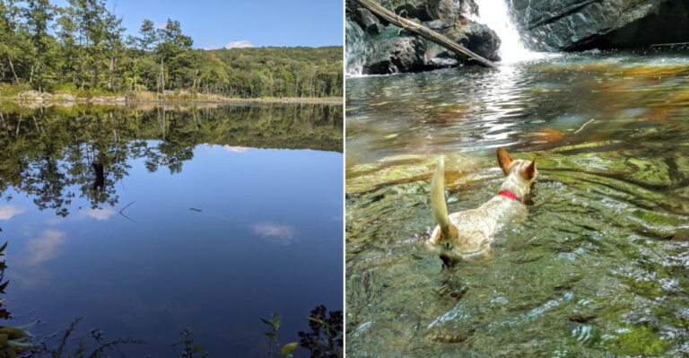 One of New Jersey’s Most Underrated Nature Escapes Is Hiding in West Milford