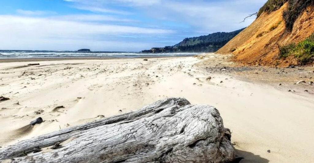 One of Oregon’s Most Fascinating Beaches Is Littered With Ancient Fossils and Natural Wonders