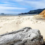 One of Oregon’s Most Fascinating Beaches Is Littered With Ancient Fossils and Natural Wonders