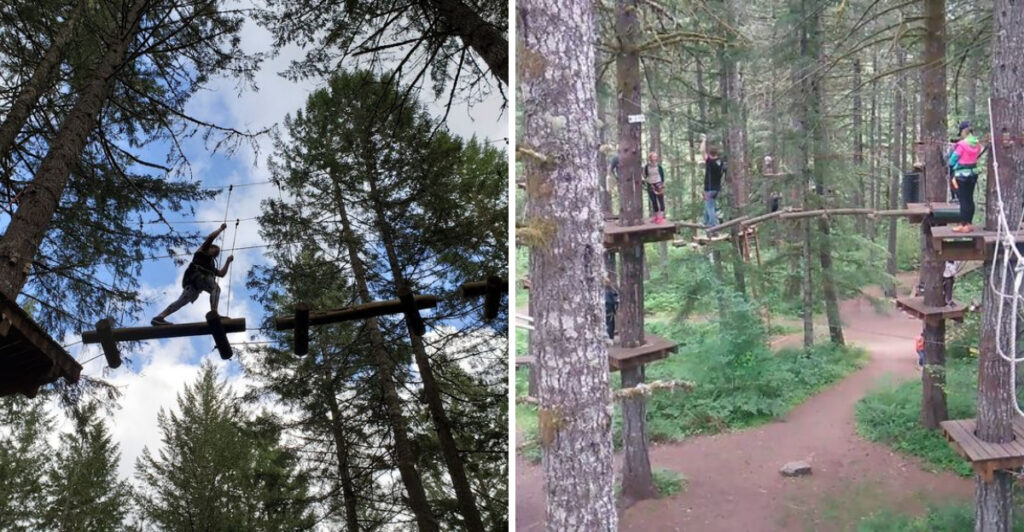 One of Oregon’s Most Thrilling Adventures Takes Place 50 Feet Above the Forest Floor