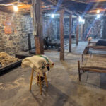 Oregon Underground Tour Reveals Hidden Tunnels, Secret Bordellos and Wild West History