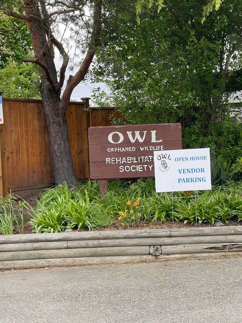 Orphaned Wildlife Rehabilitation Society, Delta, British Columbia Orphaned Wildlife Rehabilitation Society, Delta, British Columbia