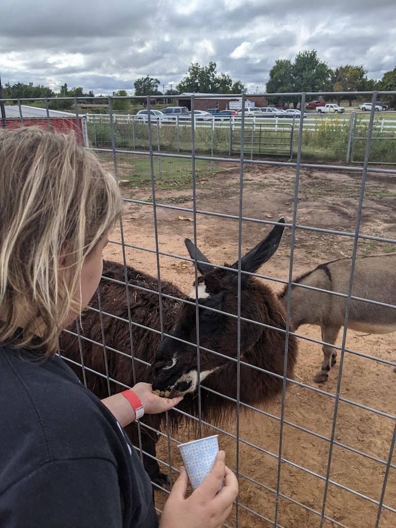 Orr Family Farm Animal Barn — Oklahoma City, Oklahoma