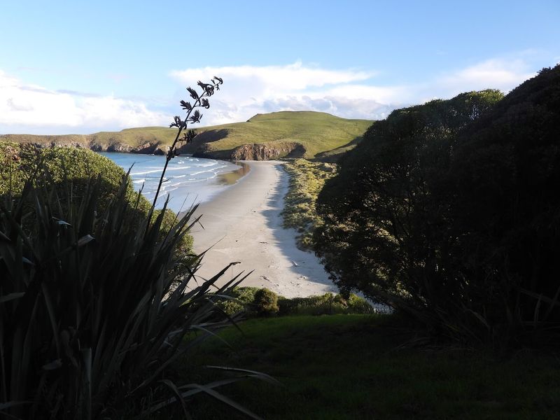 Otago Peninsula, Dunedin, New Zealand