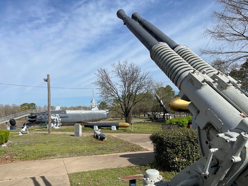 Outdoor Artifacts: A Yard Full of Military Muscle