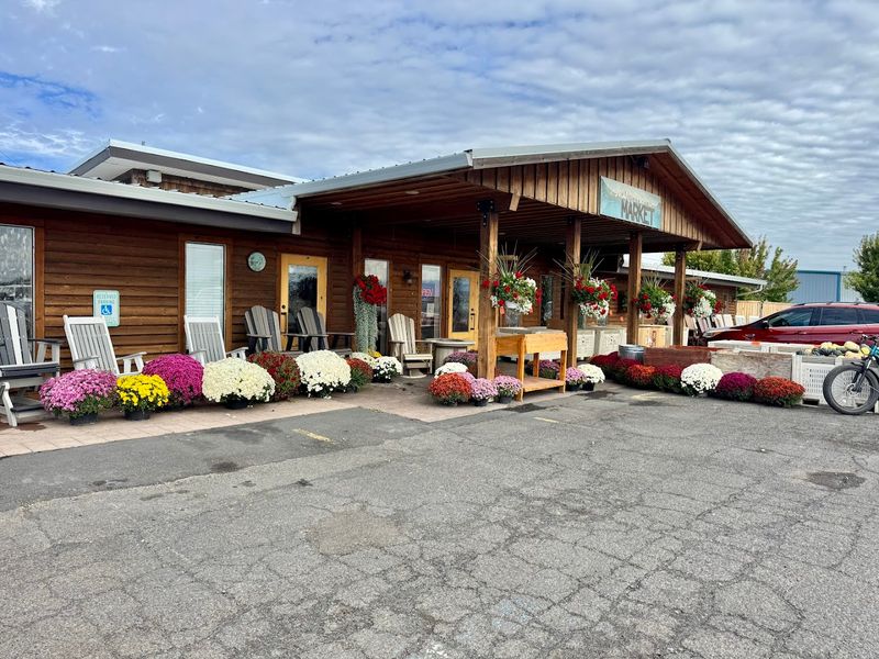 Outdoor Furniture and Home Decor Offerings Outdoor Furniture and Home Decor Offerings