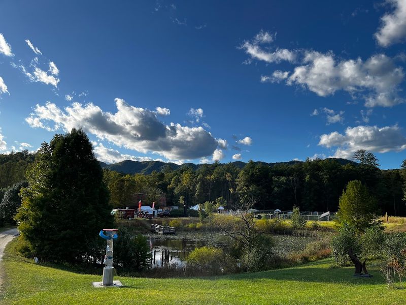 Over 100 Sculptures on One Free Trail: What to Expect Over 100 Sculptures on One Free Trail: What to Expect