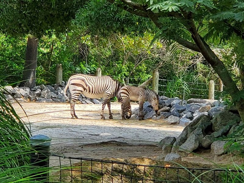Over 700 Animals Across 150 Species