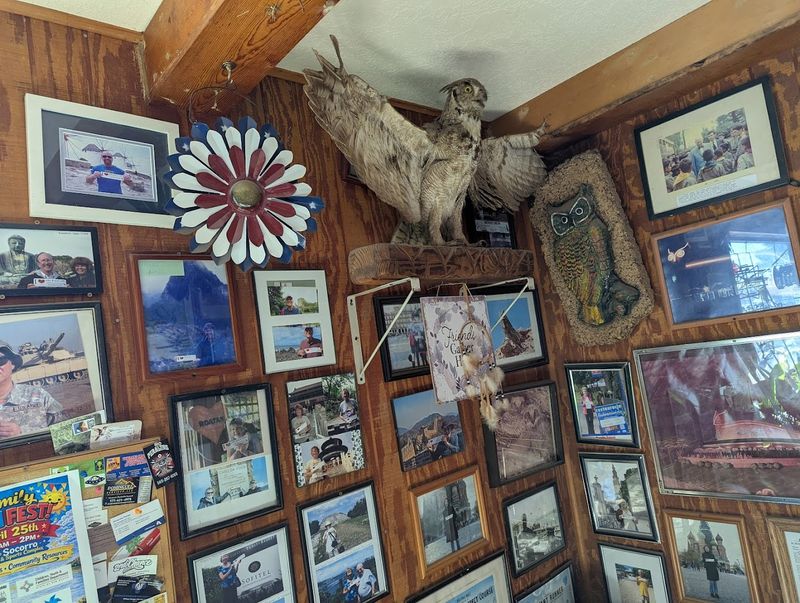 Owls Everywhere: The Decor That Defines the Place Owls Everywhere: The Decor That Defines the Place