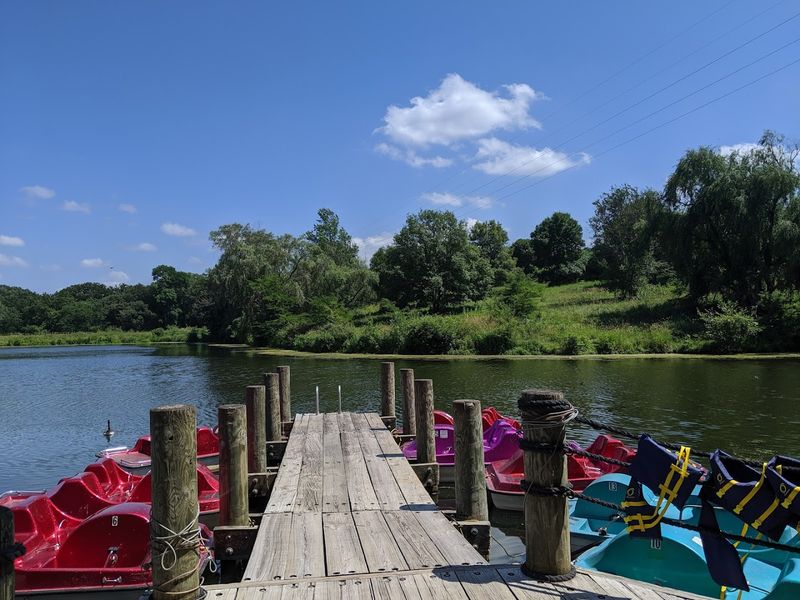 Paddle Boats, Kayaks, and the Quiet Magic of Baright Lake