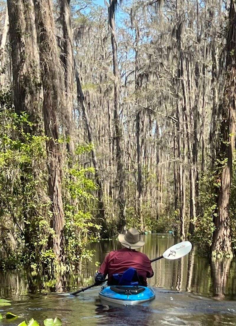 Paddling Deeper Into the Wild Paddling Deeper Into the Wild