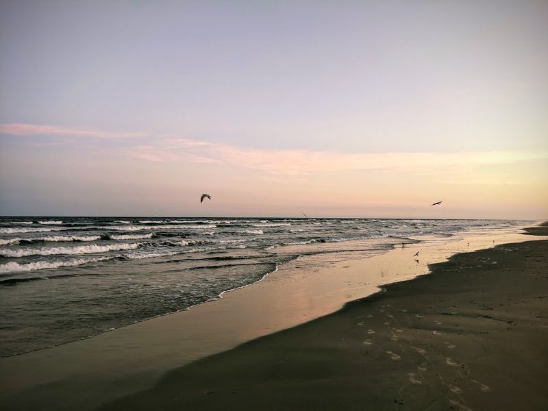 Padre Island National Seashore, Texas Padre Island National Seashore, Texas