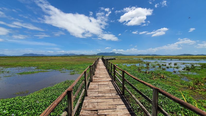 Palo Verde National Park, Guanacaste Province, Costa Rica