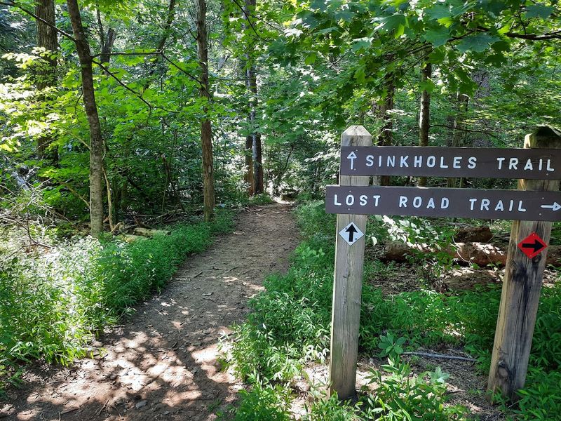 Panther Creek State Park, Morristown, Tennessee Panther Creek State Park, Morristown, Tennessee