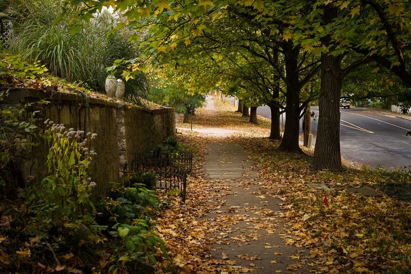 Parkville, Missouri