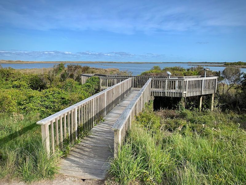 Pea Island National Wildlife Refuge — Rodanthe, North Carolina