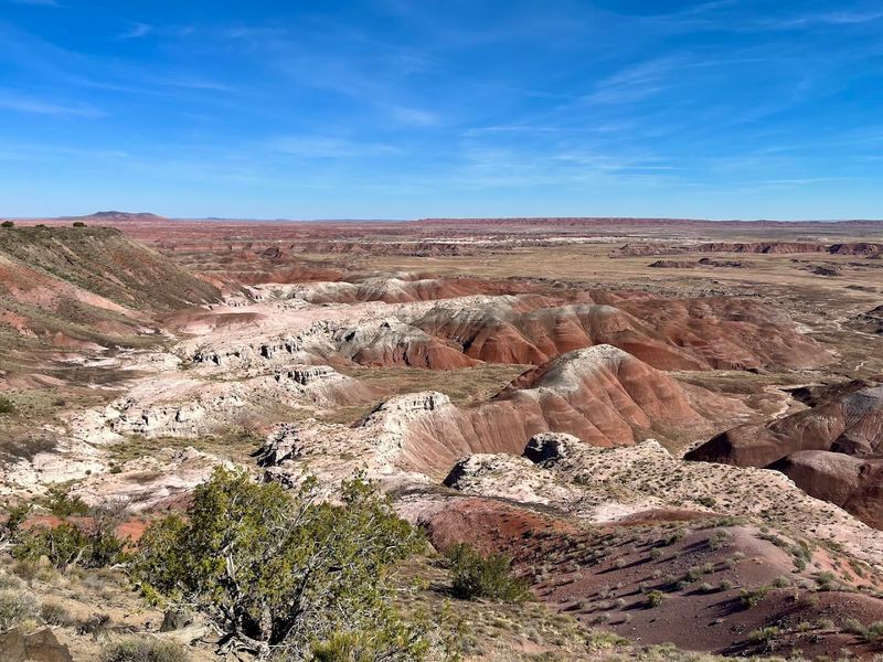 Petrified Forest National Park, Arizona