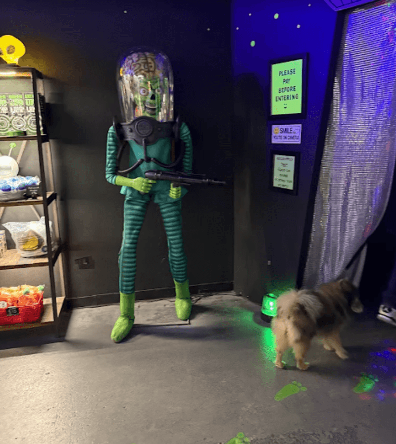 Pets Are Welcome on the Spacewalk Pets Are Welcome on the Spacewalk