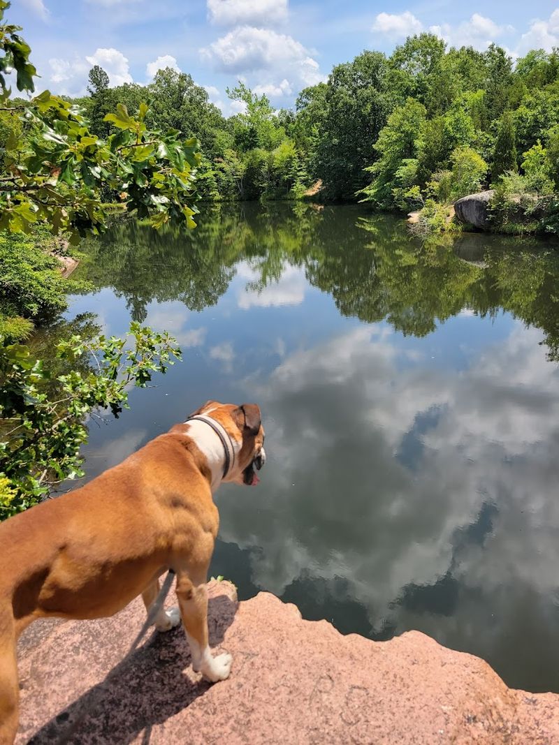 Pets, Wildlife, and the Natural Atmosphere of the Park
