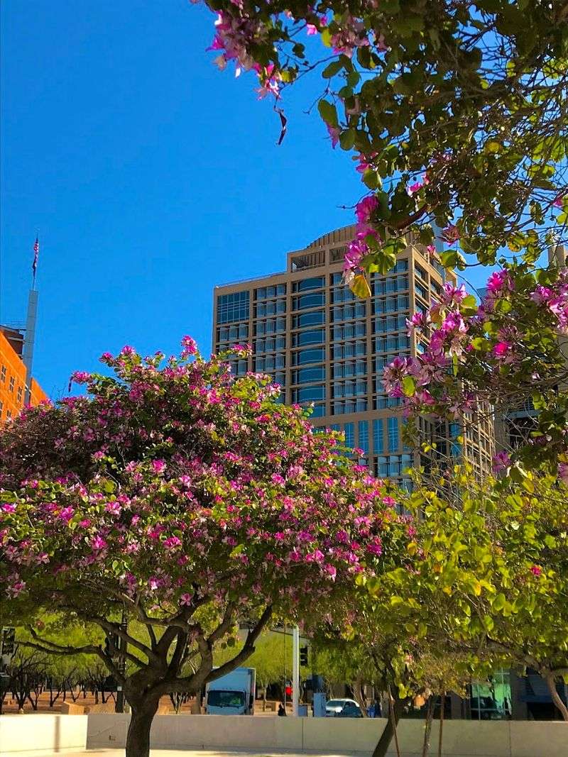 Phoenix, Arizona