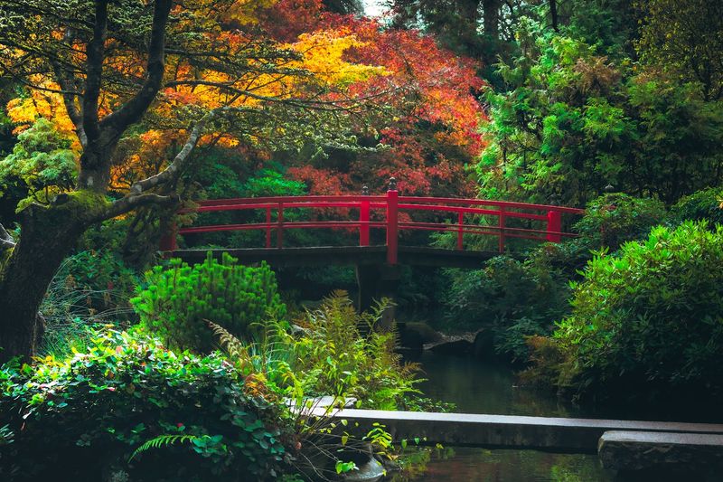 Photography Opportunities Around Every Turn