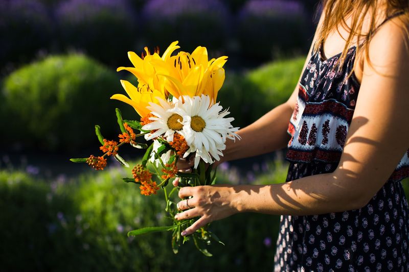Photography Opportunities That Will Fill Up Your Camera Roll Photography Opportunities That Will Fill Up Your Camera Roll
