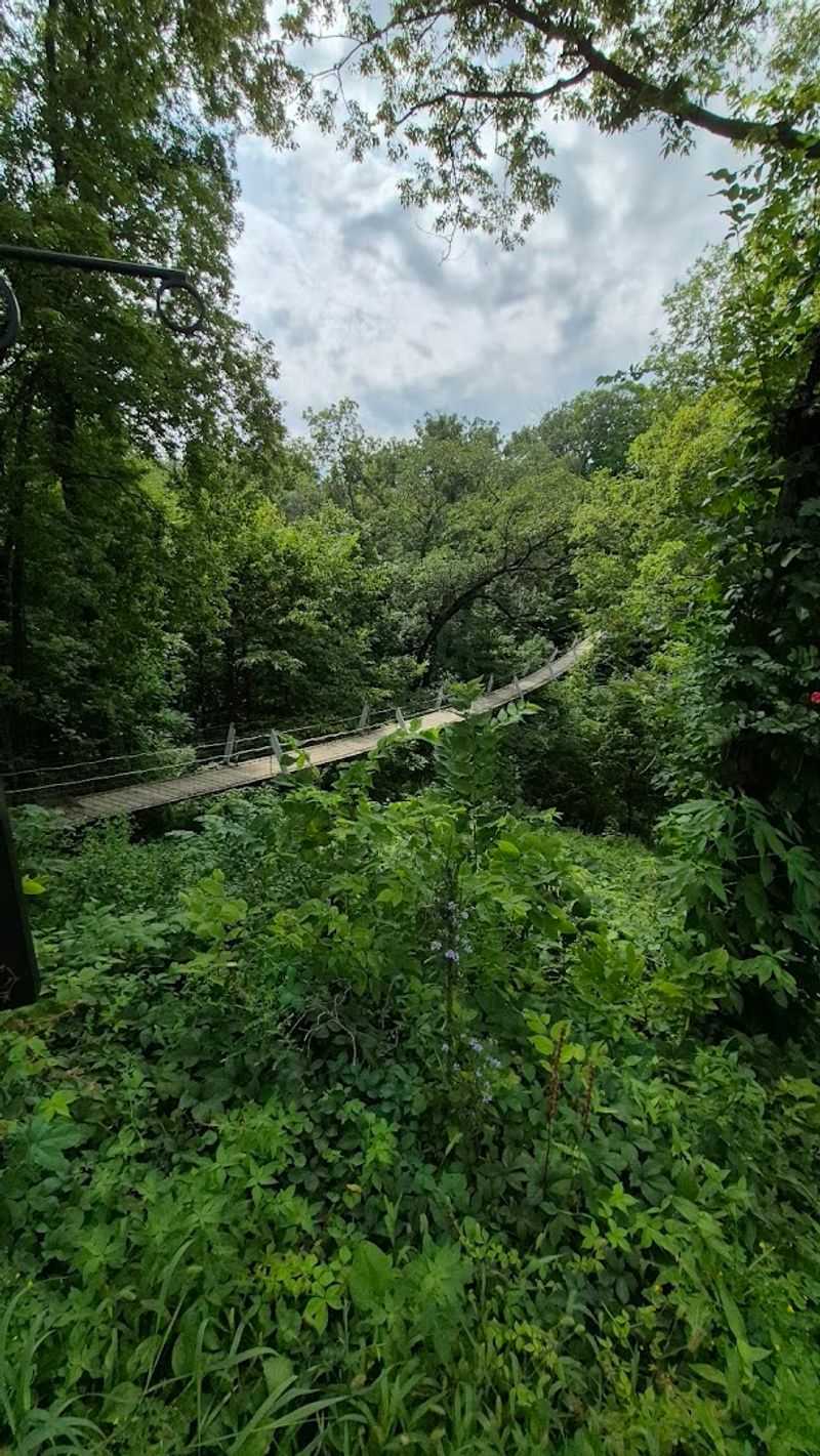 Photography Tips for the Bridge and Trail