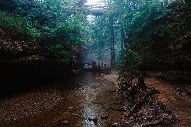 Photography Tips for the Gorge Photography Tips for the Gorge