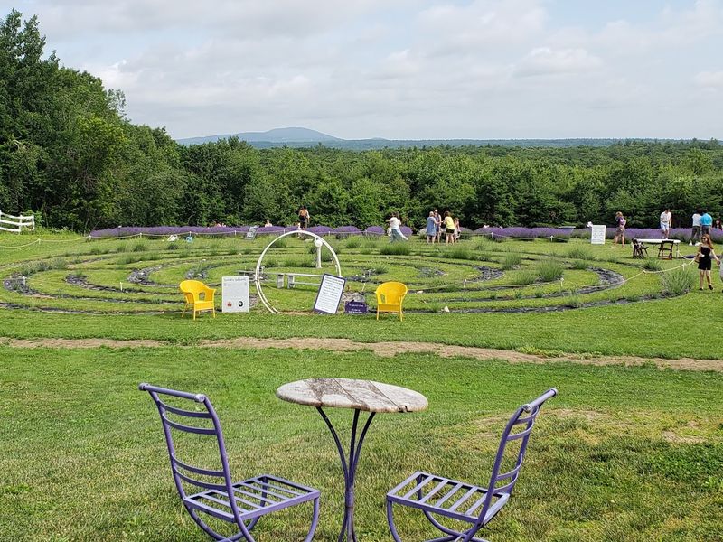 Photography and the Farm That Earns Its Own Backdrop
