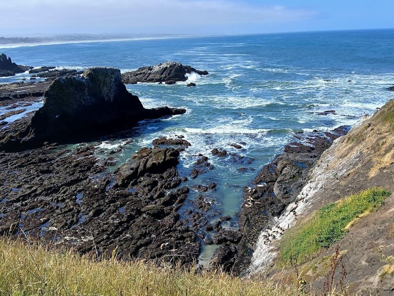 Photography at Boiler Bay