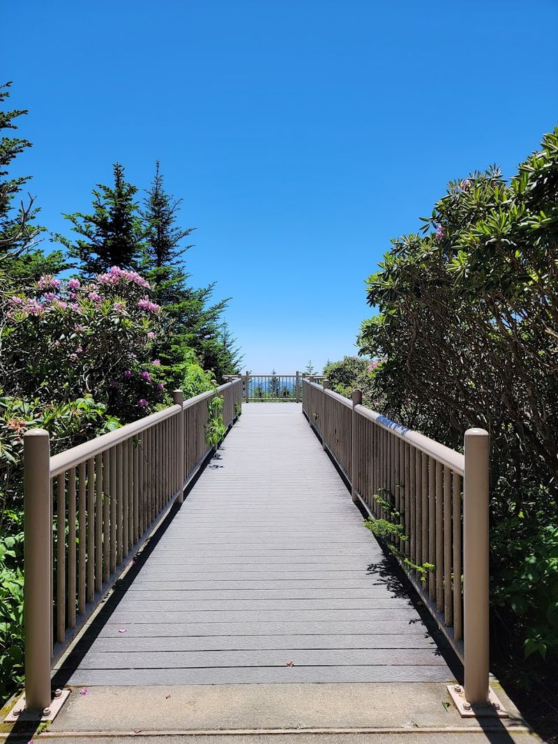 Photography at the Gardens: Tips for Getting the Best Shots Photography at the Gardens: Tips for Getting the Best Shots