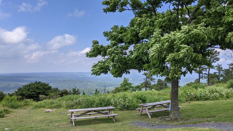 Picnic Areas, Grills, and a Reason to Linger