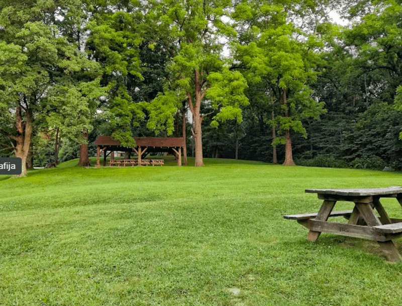 Picnic Areas That Make Lingering Easy