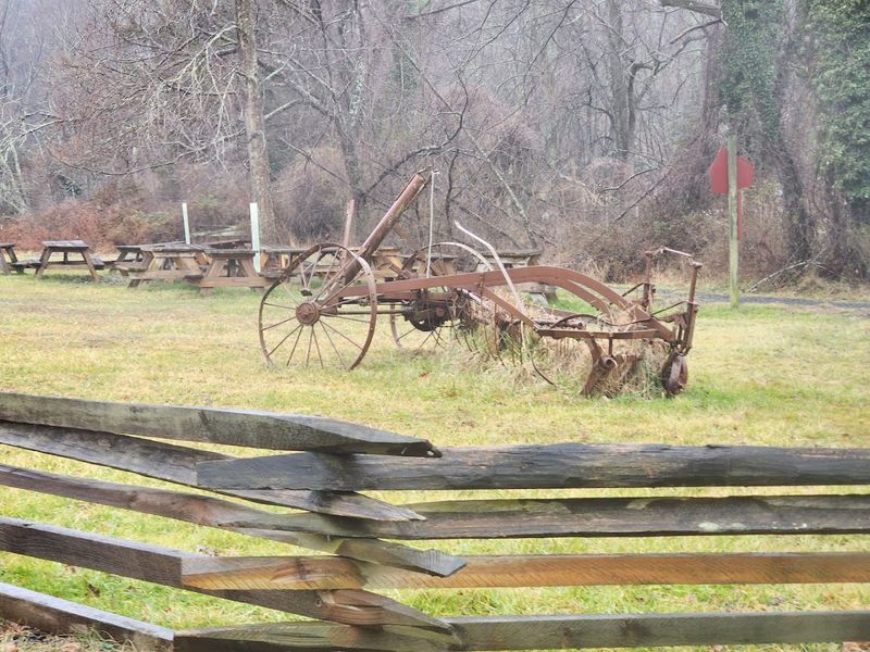 Picnic Areas and Family-Friendly Features