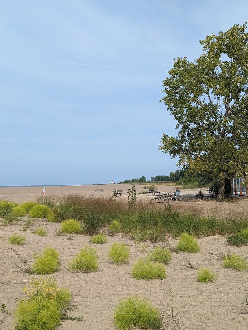 Picnicking and Shelter Houses