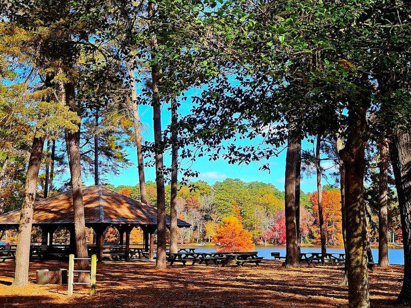 Picnics, Pavilions, and Recreation Beyond the Water