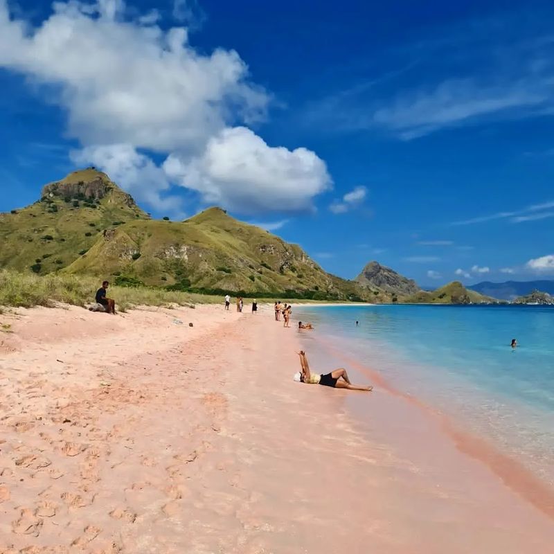 Pink Beach (Pantai Merah), Komodo National Park, Indonesia Pink Beach (Pantai Merah), Komodo National Park, Indonesia