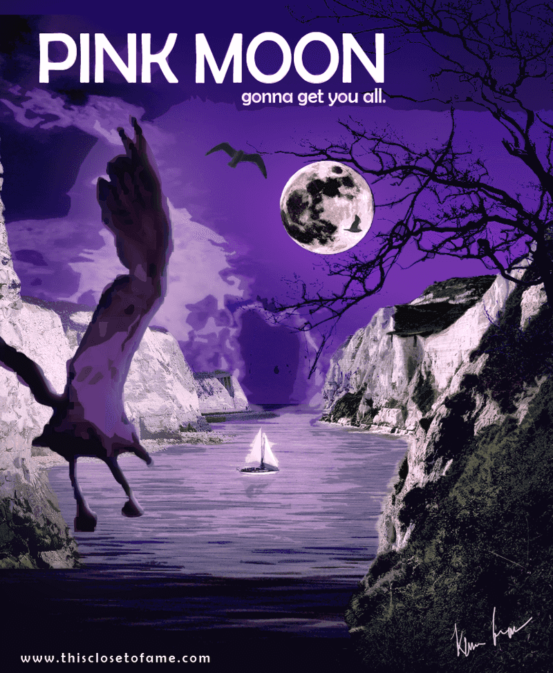 Pink Moon - Nick Drake