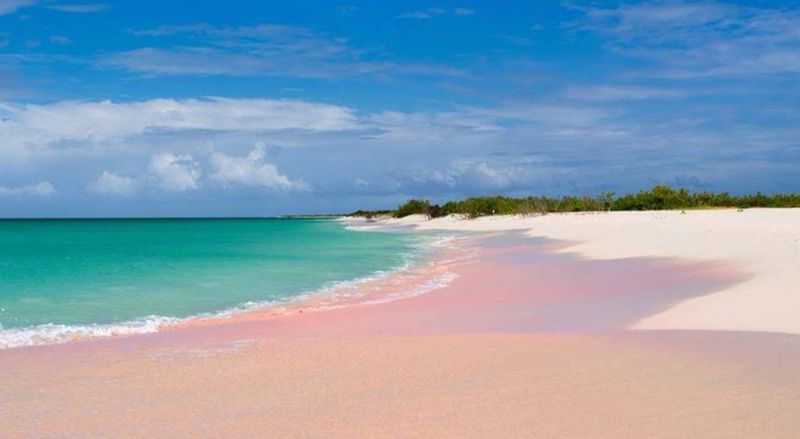 Pink Sand Beach, Barbuda Pink Sand Beach, Barbuda