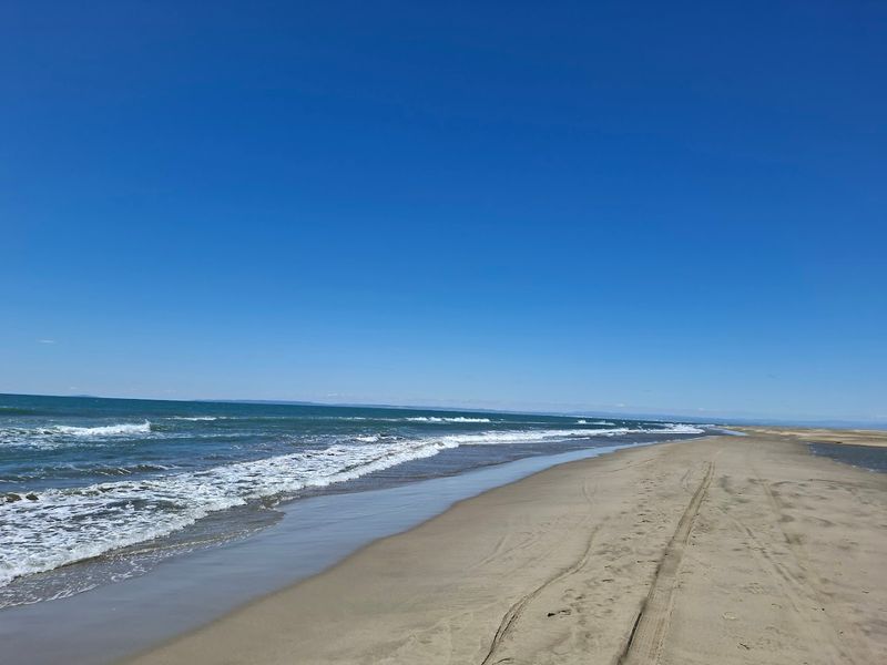 Plage de l'Espiguette, France