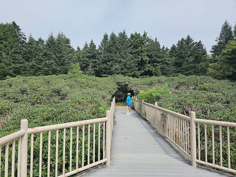 Planning Your Visit: Everything You Need to Know Before You Go Planning Your Visit: Everything You Need to Know Before You Go