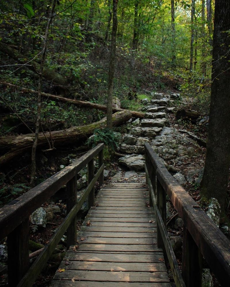 Planning Your Visit: Practical Tips for Getting the Most Out of the Park