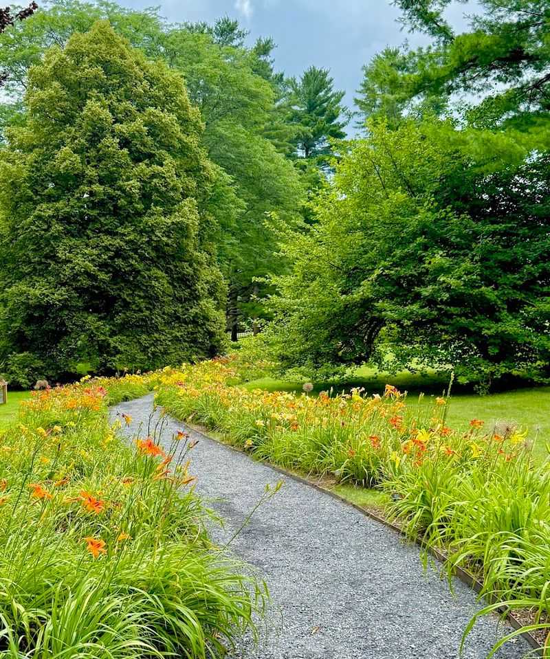 Planning Your Visit: Timing, Admission, and What to Expect