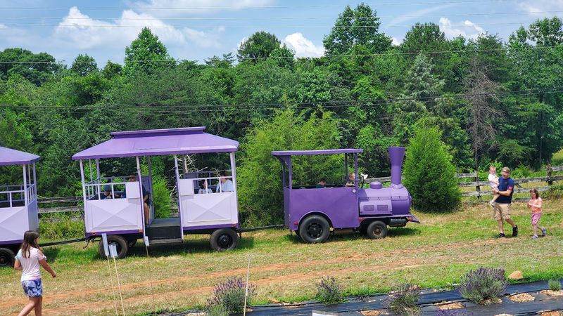 Planning Your Visit: Tips for Getting the Most Out of the Farm