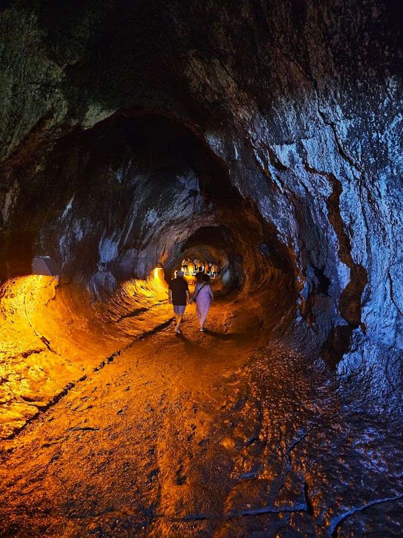Planning Your Visit: Tips for Getting the Most Out of the Tour