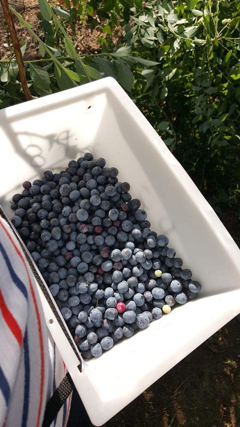 Planning Your Visit to Happy Acres Farm