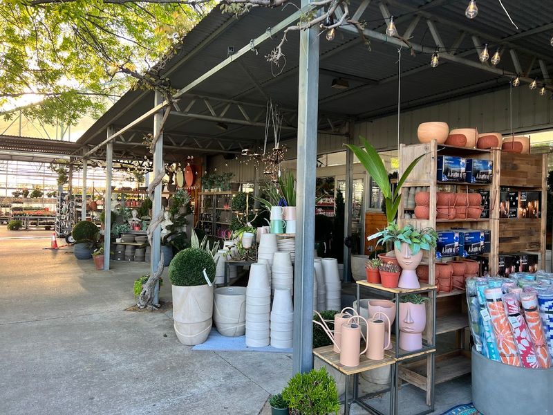 Planters and Pots for Every Taste