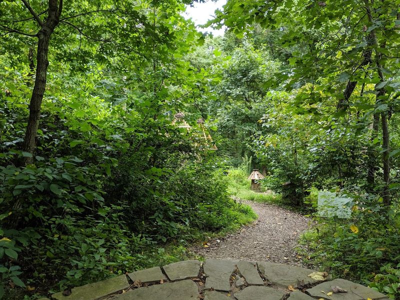 Planting 14,500 Trees: The Reforestation Effort Behind the Woodland Walks Planting 14,500 Trees: The Reforestation Effort Behind the Woodland Walks