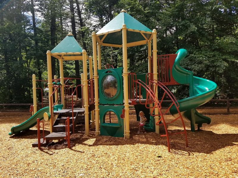Playgrounds, Picnic Areas, and the Family-Friendly Side of the Park Playgrounds, Picnic Areas, and the Family-Friendly Side of the Park